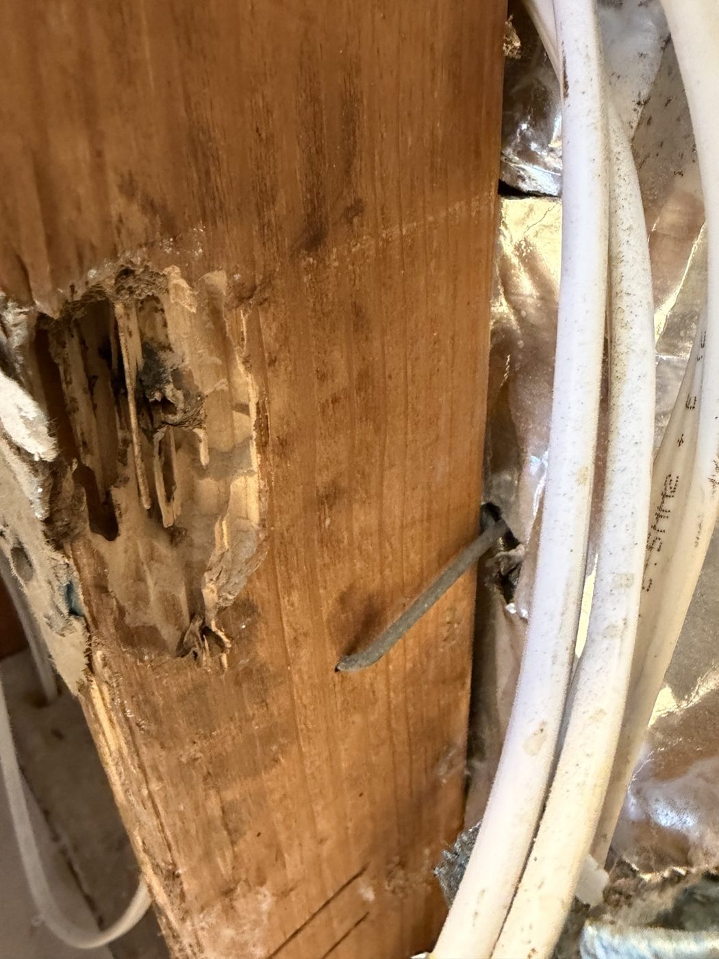 Damage to a timber support